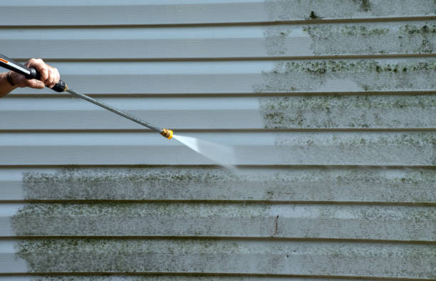 Hansville, WA Mold Removal Company